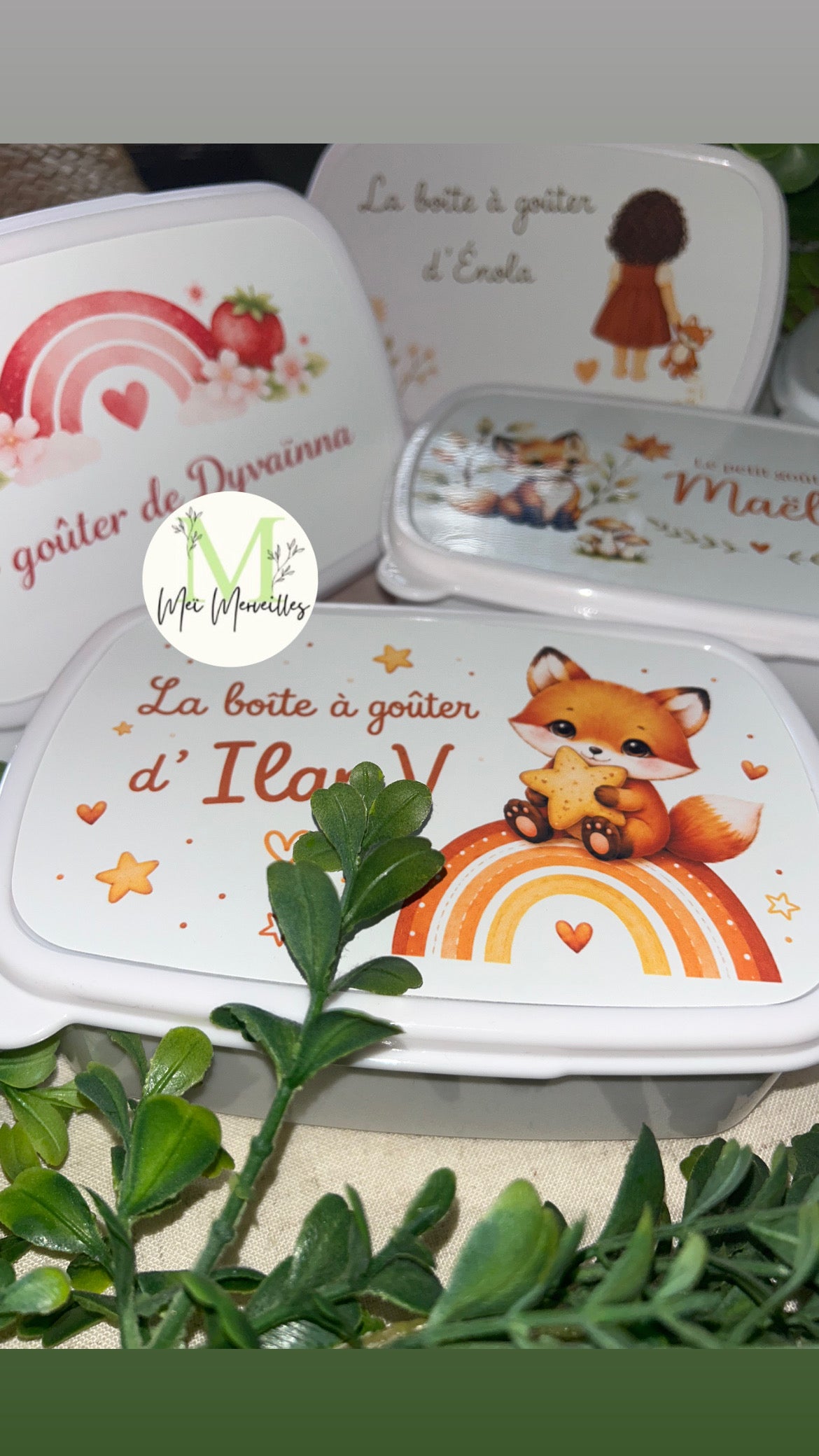 Gourde et/ou Boîte à goûter | Renard Arc en ciel 🌈