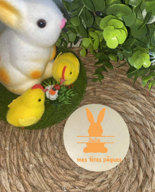 Petite plaque 🐣 Lapin