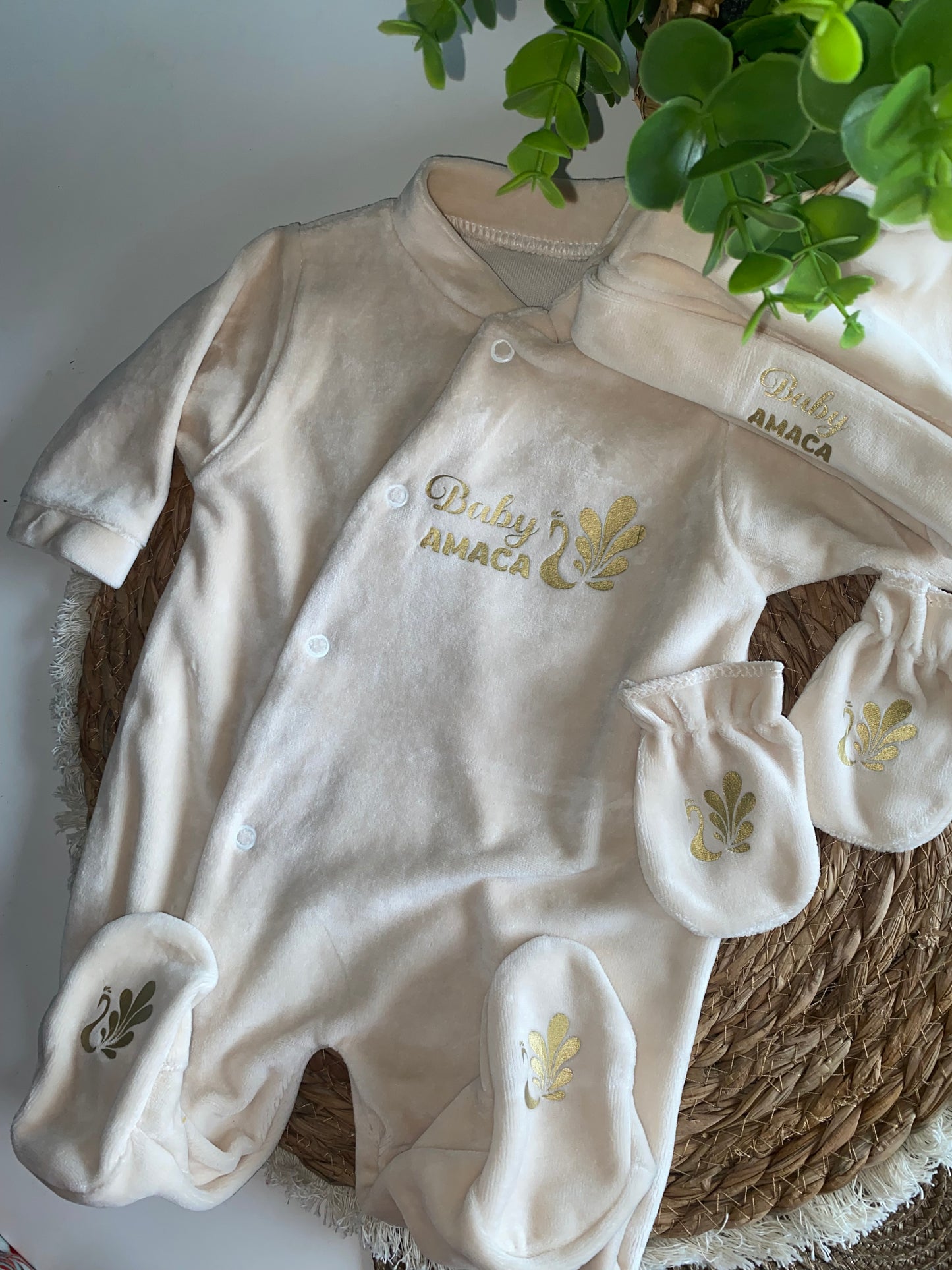 VELOURS beige | Paon