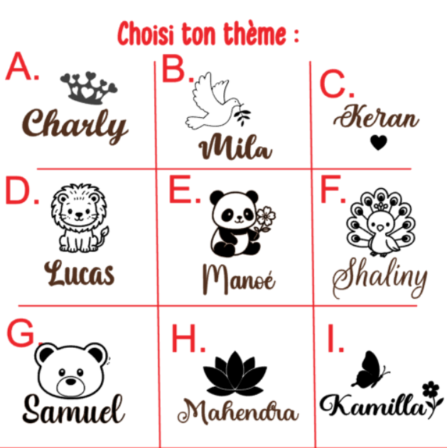 BOX CĂąlin đ (couleur,thĂšme au choix)