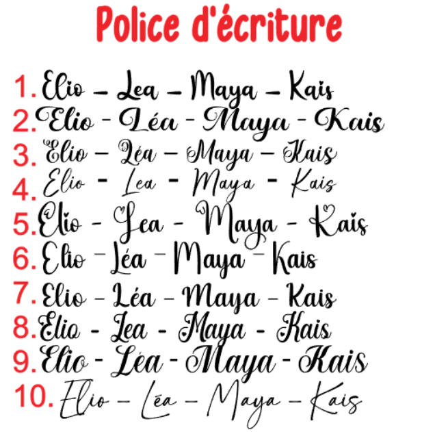 Protège passeport ✈️🌍 | Noir