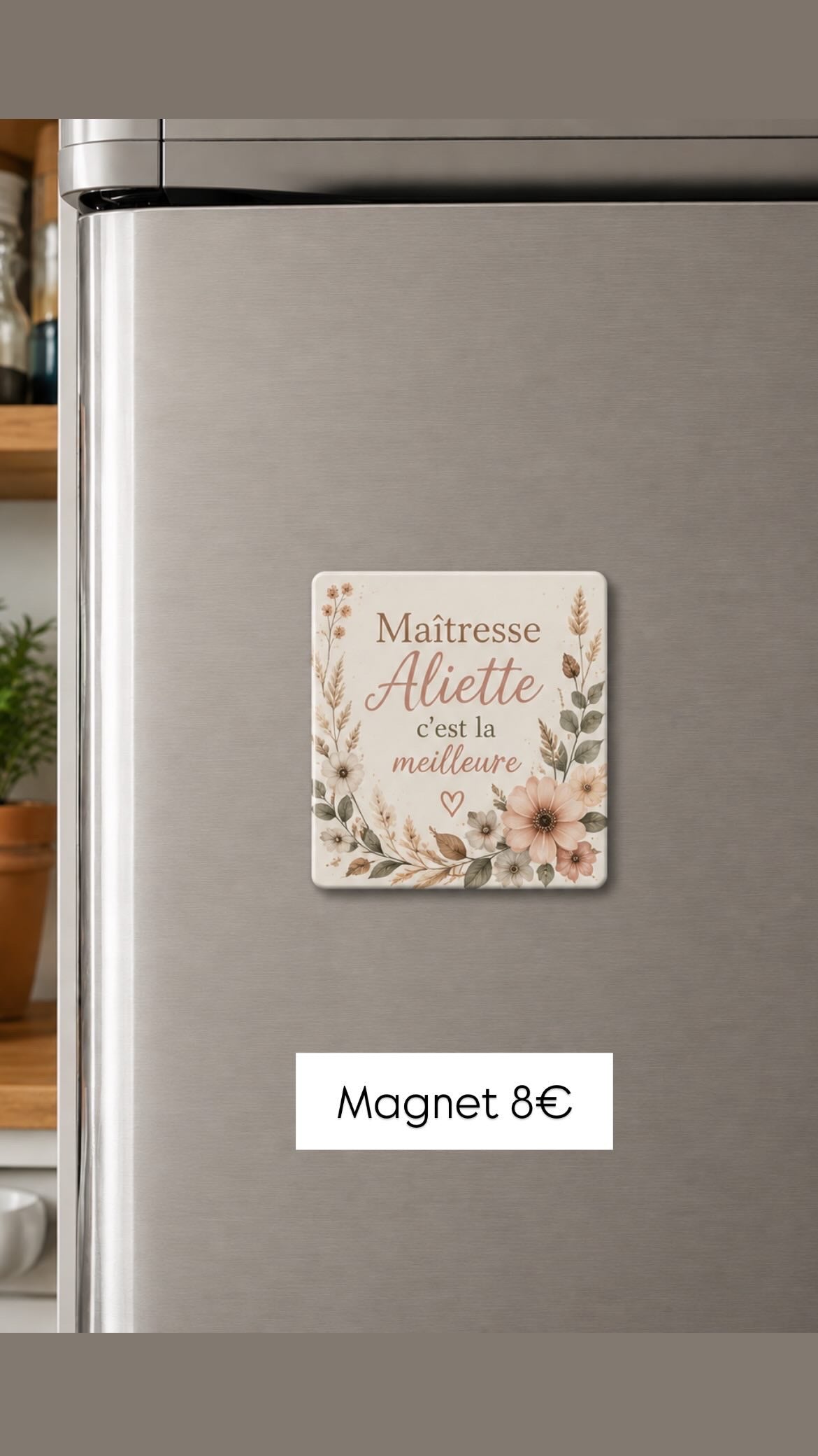 Magnet maîtresse / maître