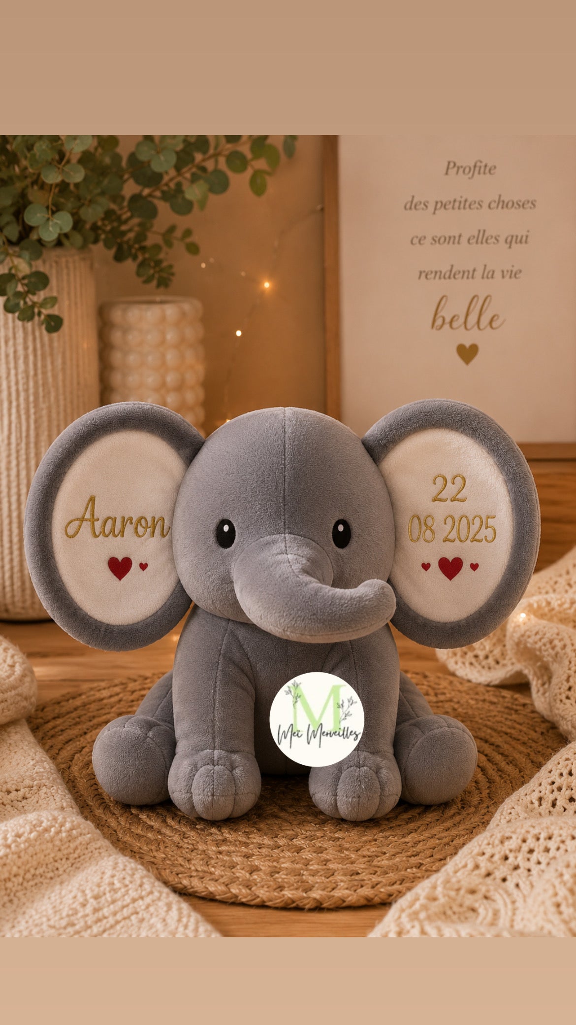 Éléphant 🐘 Gris