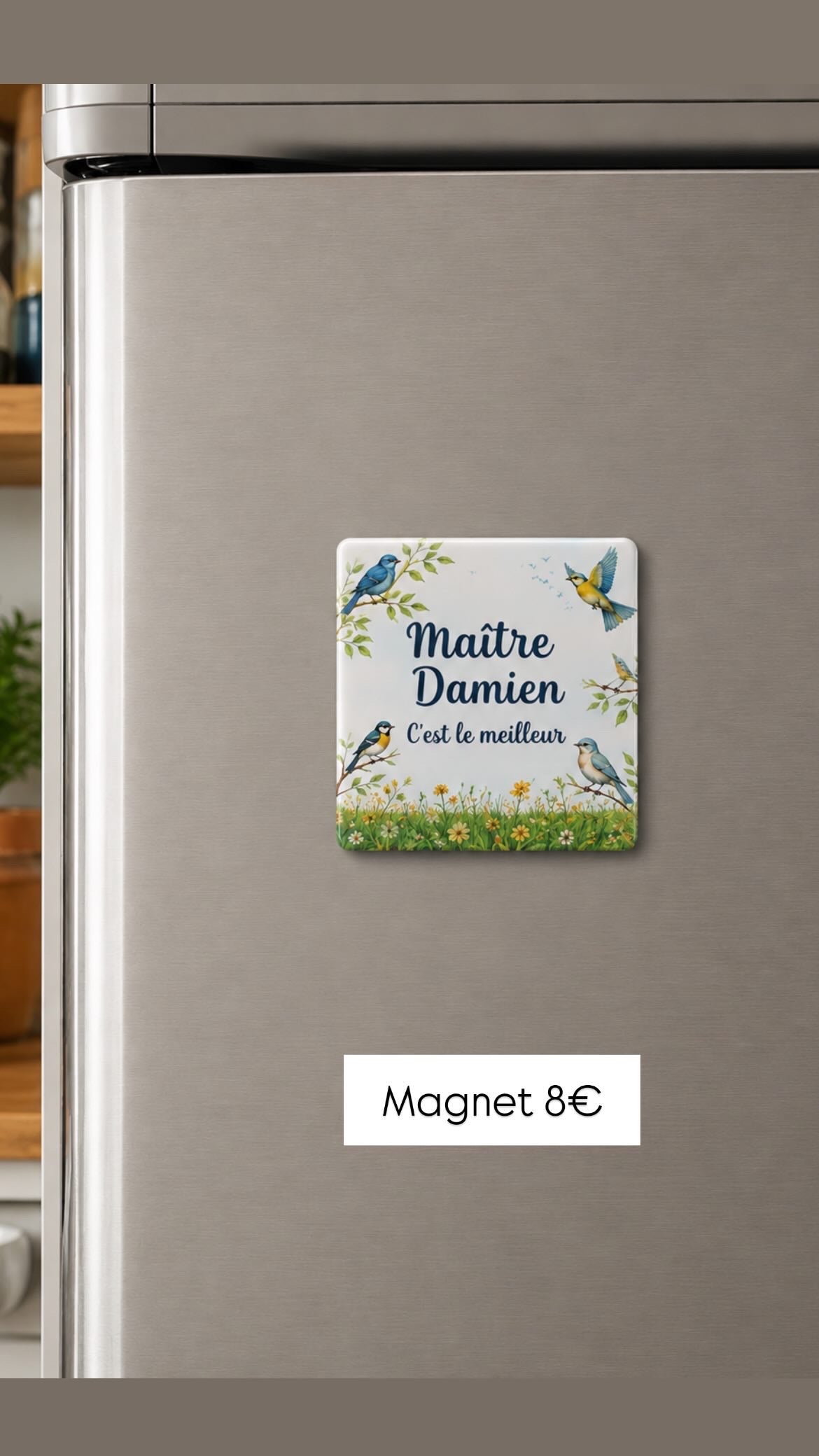 Magnet maîtresse / maître