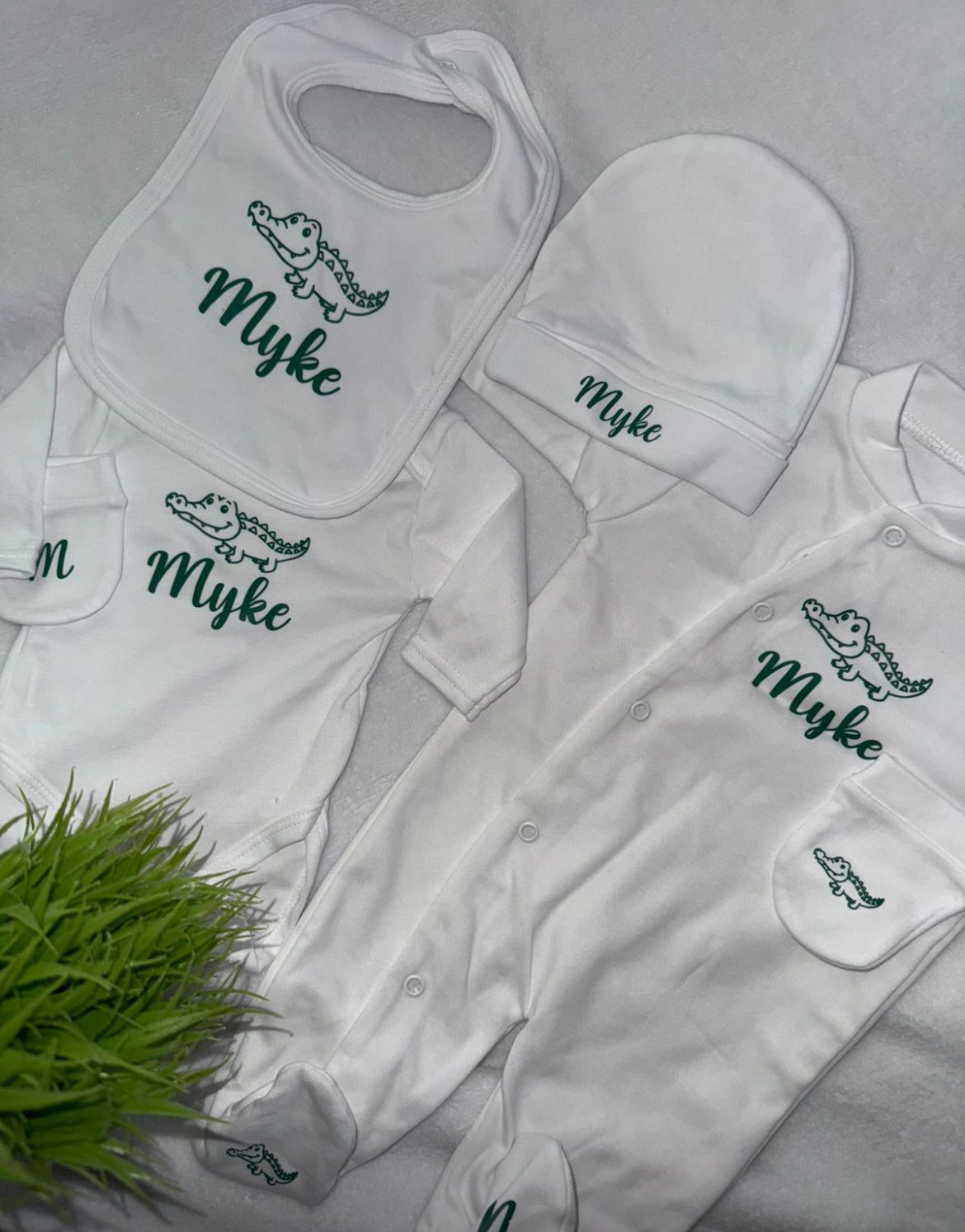 5pcs| Crocodile