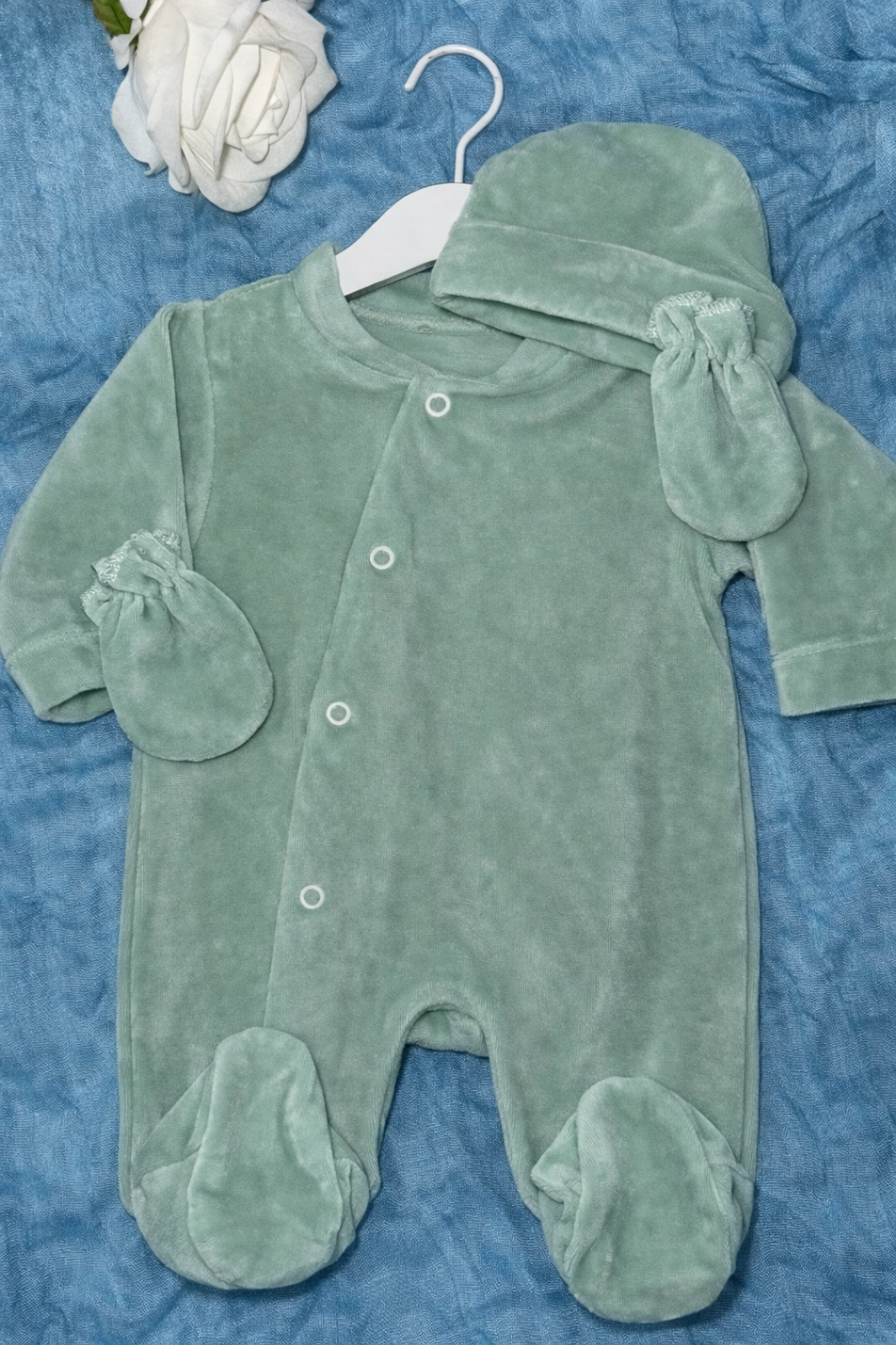 VELOUR | Paon 🦚