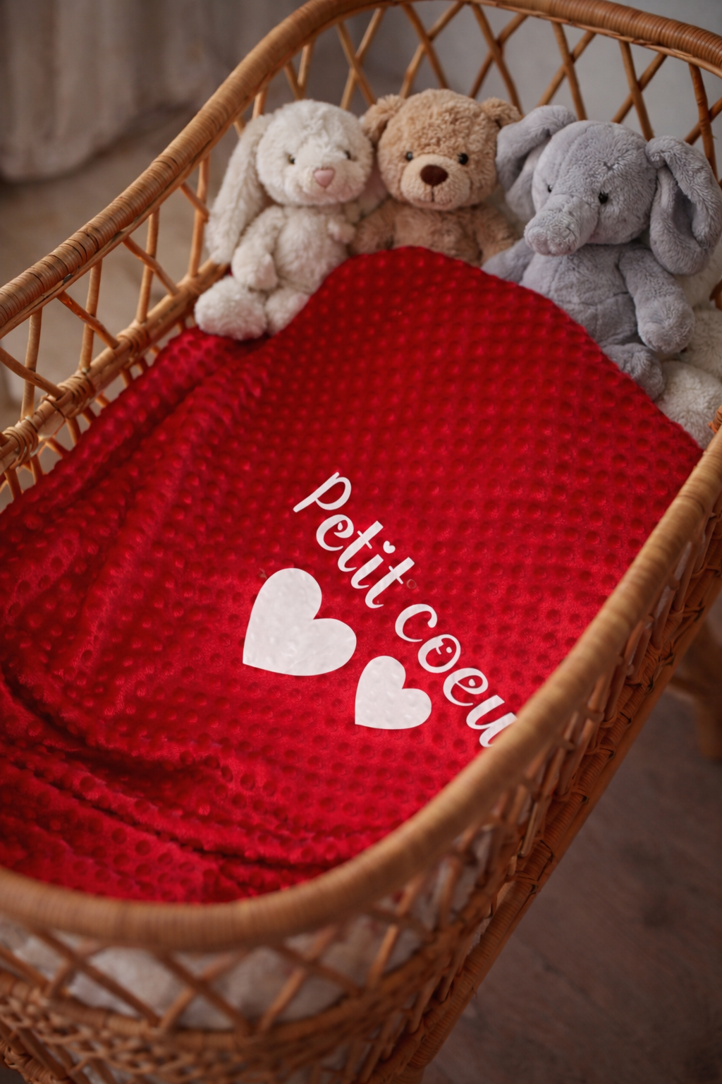 Dispo de suite | Couverture rouge