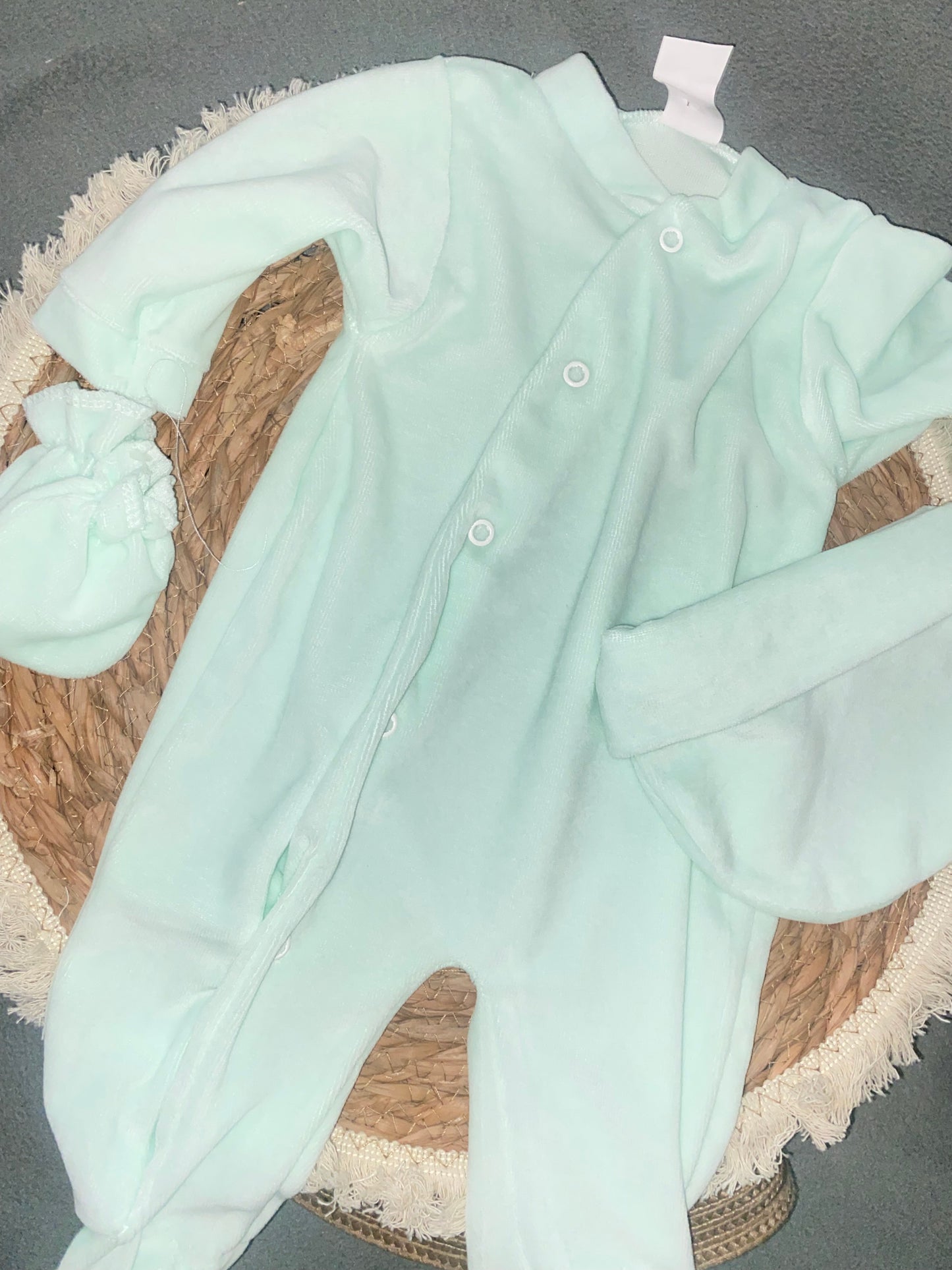 VELOUR | Feuillage