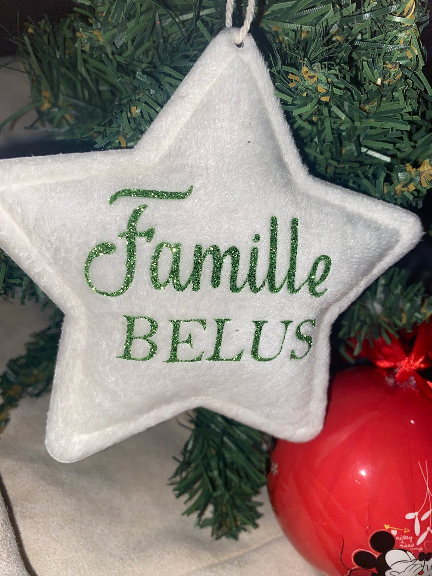Étoile en velours | Famille