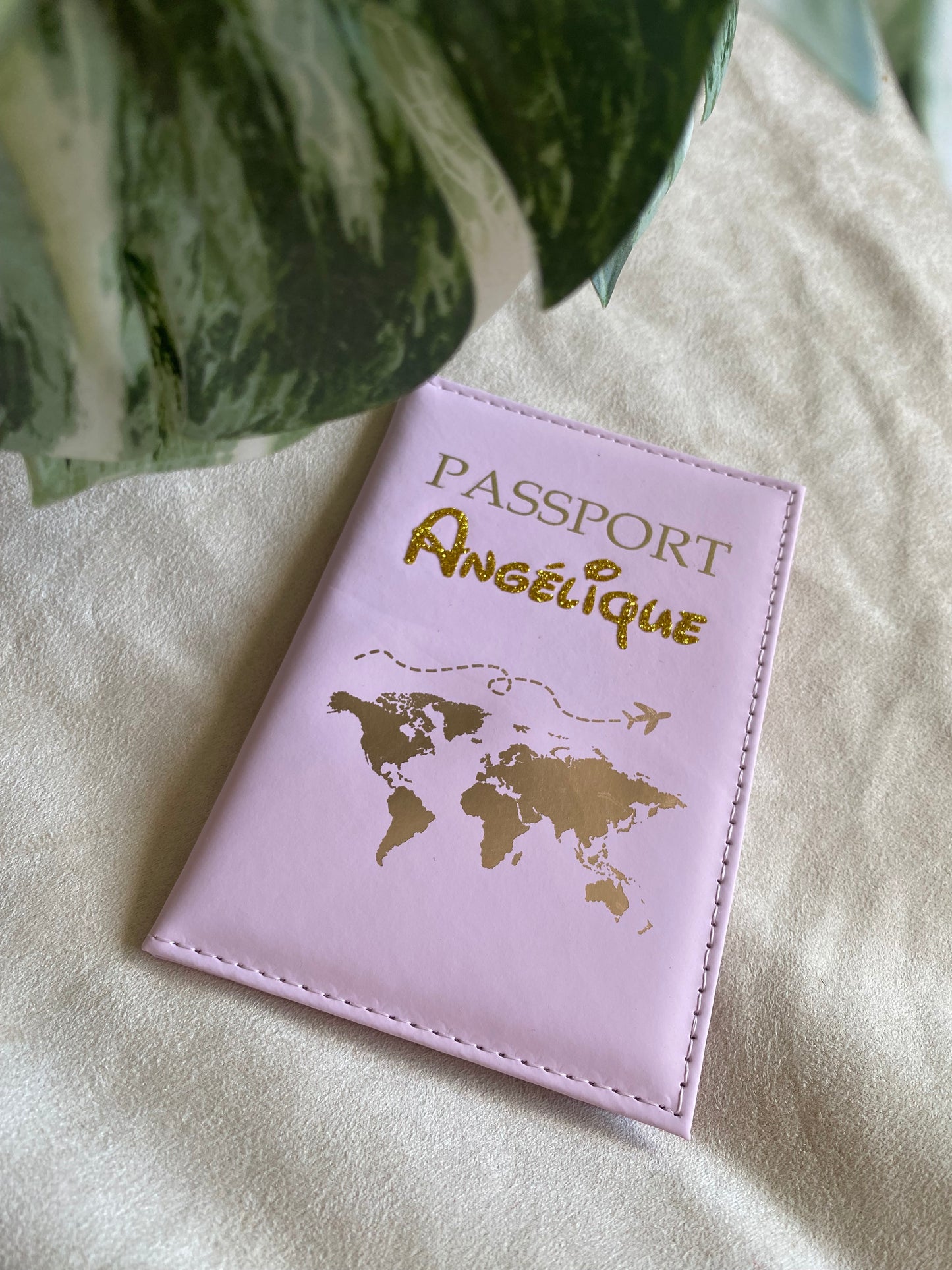 Protège passeport ✈️🌍