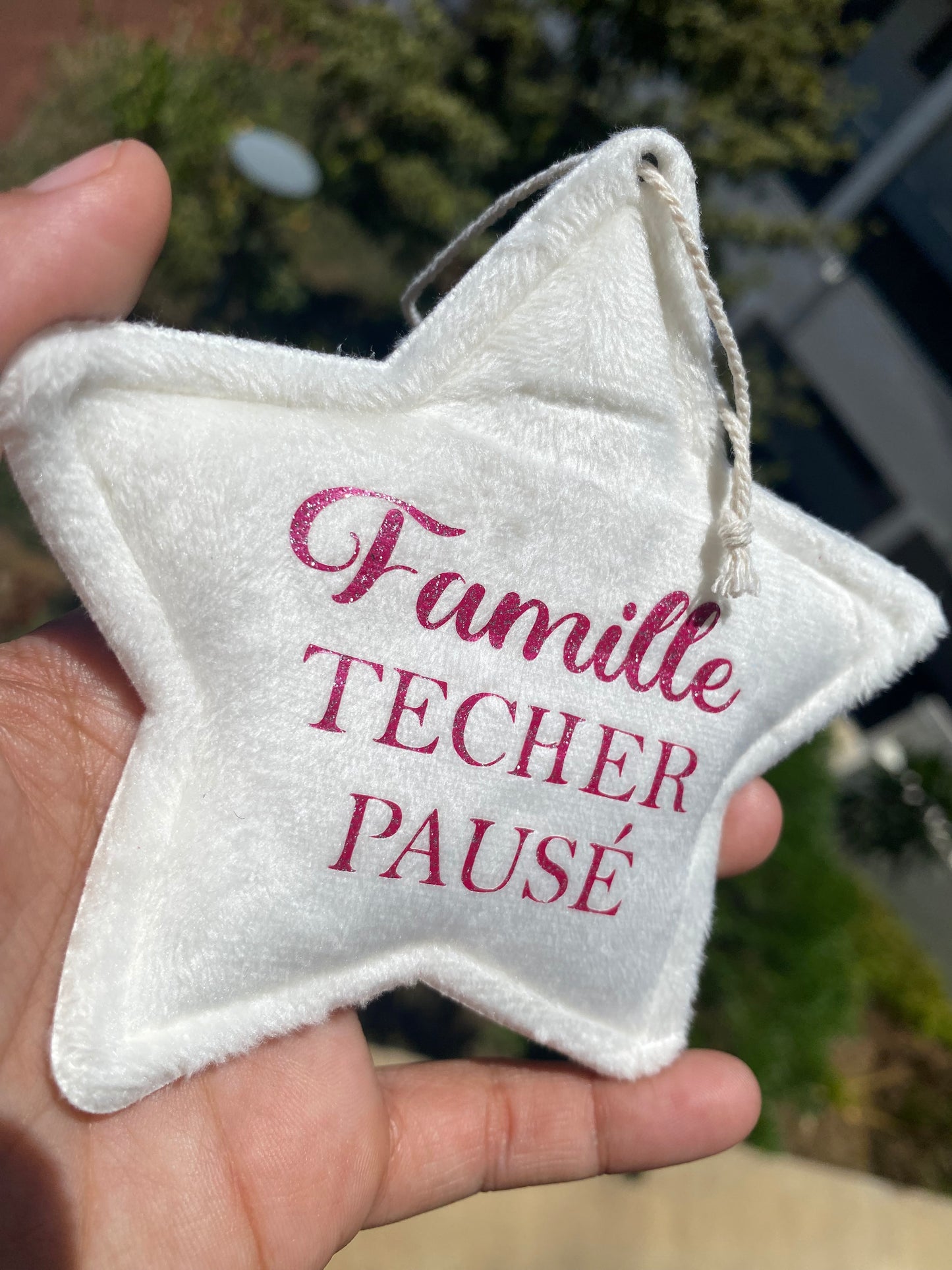 Étoile en velours | Famille (2)