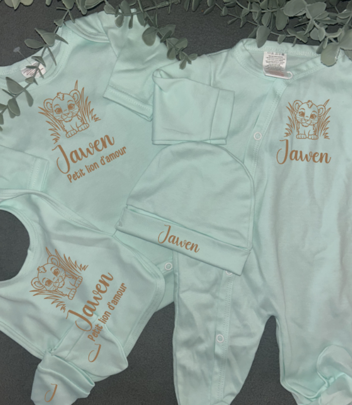 Coffret | Lion 🦁