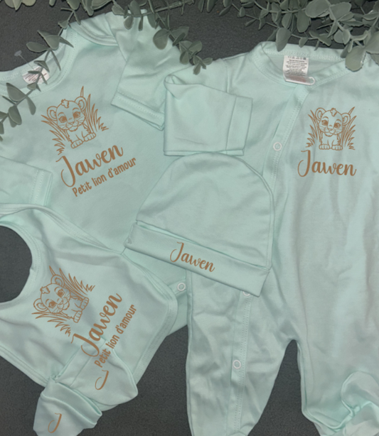Coffret | Lion 🦁