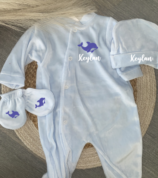 VELOURS bleu claire | Dauphin